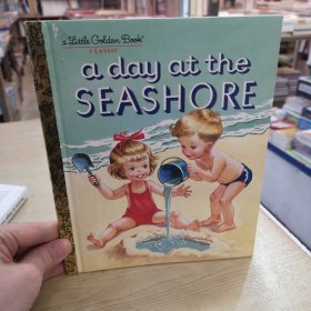 A Day at the Seashore (Little Golden Book)英文原版童书