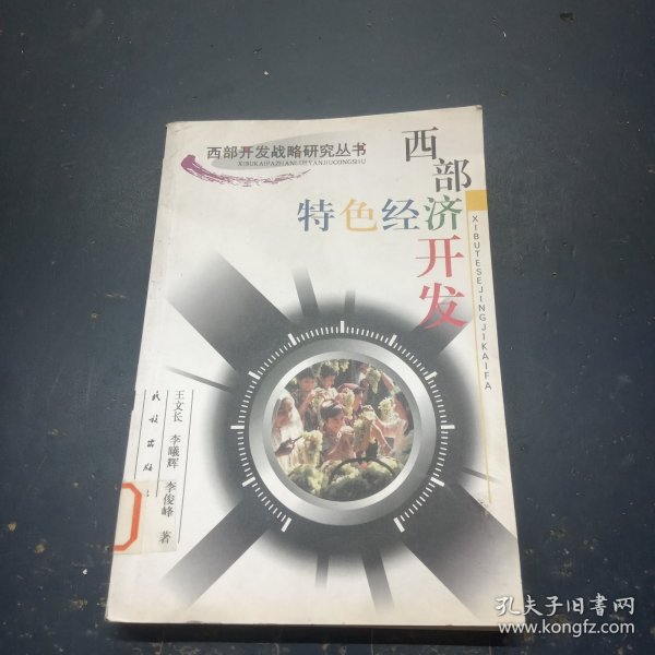 西部特色经济开发