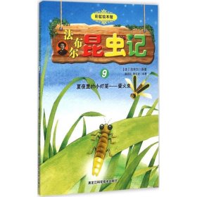 正版书彩虹绘本馆法布尔昆虫记(9)夏夜里的小灯笼萤火虫