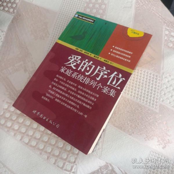 爱的序位：家庭系统排列个案集