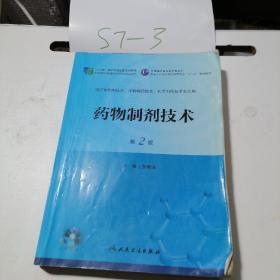 药物制剂技术（第二版/高职药学/配盘/十二五规划）