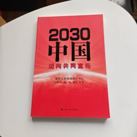 2030中国：迈向共同富裕