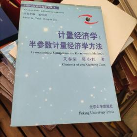 计量经济学：半参数计量经济学方法——经济与金融高级研究丛书