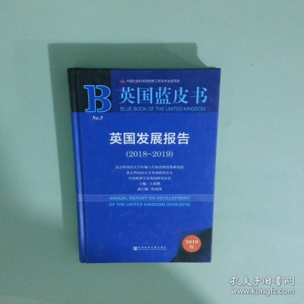 英国发展报告