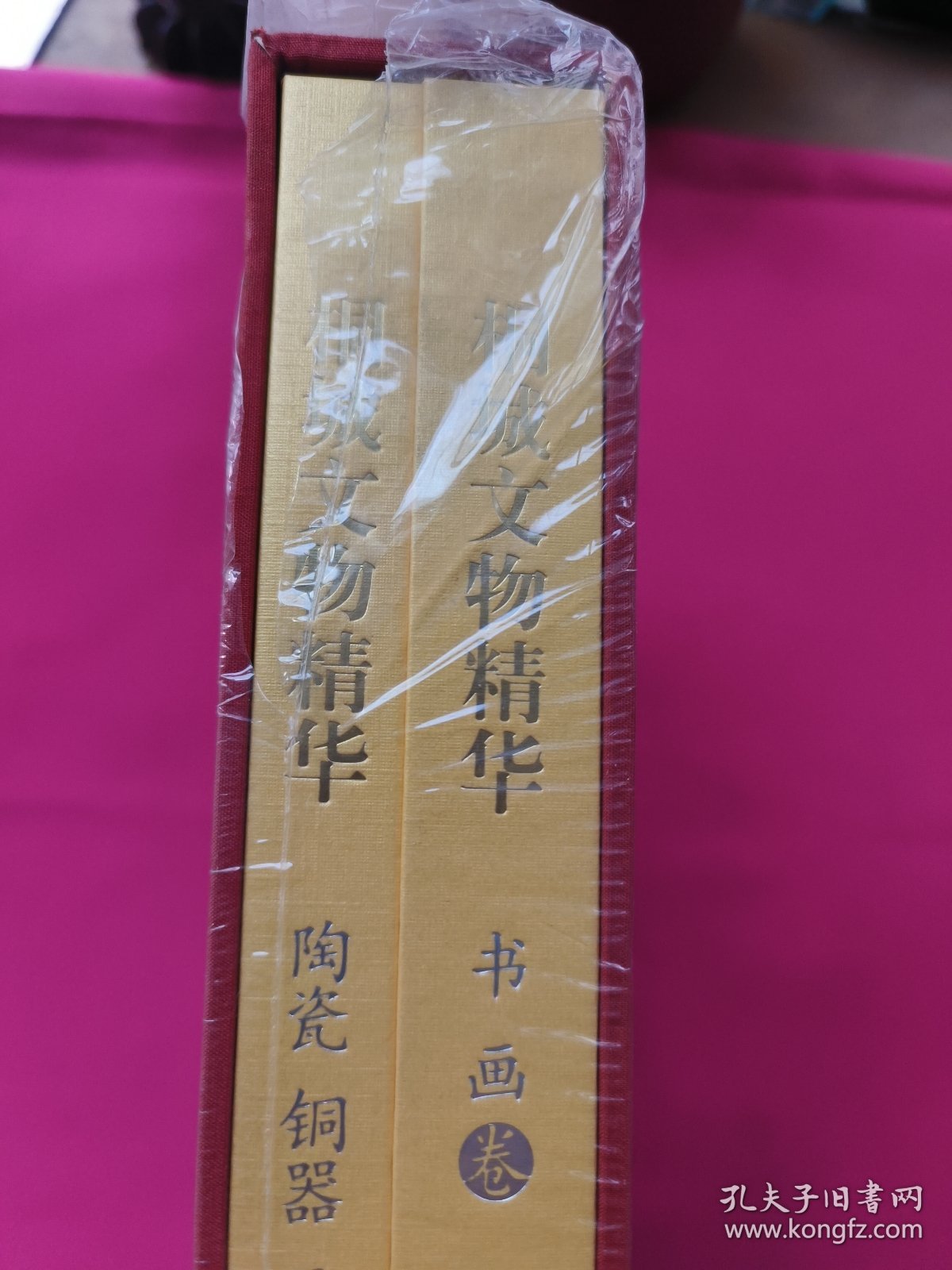 桐城文物精华（套装共2册）