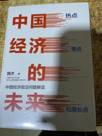 中国经济的未来：热点、难点和增长点