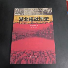 湖北抗战图史