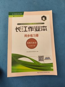 长江作业本同步练习册 道德与法治 九年级下册