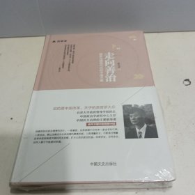 走向善治：国家治理现代化的中国方案【全新未拆封】