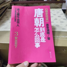 唐朝到底是怎么回事3女主天下