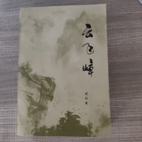 红色文学  云飞峰  怀旧收藏  私藏美品   白纸铅印大开本