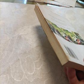 迈阿密饮食瘦身法