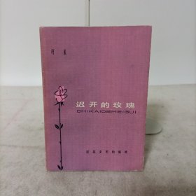 迟开的玫瑰 一版一印