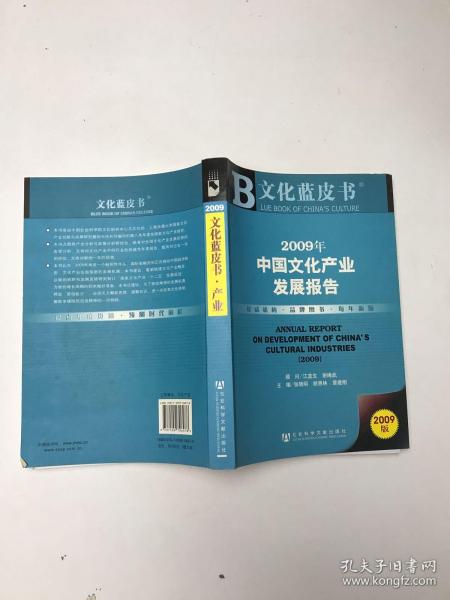 2009年中国文化产业发展报告