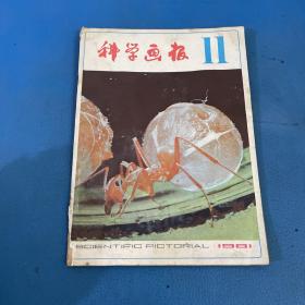 科学画报1981年第11期