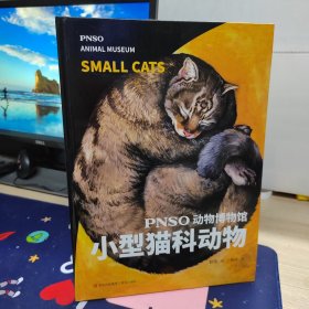 PNSO动物博物馆：小型猫科动物（把博物馆带回家，纸上iMax体验）