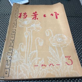 档案工作杂志 1981 3.4.5.6 1982 3.4.5七本合售4-3