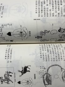 内证观察笔记 原版增订本真图本中医解剖学纲目 内政内症内正观察笔记 内证检查观摩见证笔记
中医学中医养生