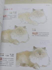 猫咪绘：33只萌猫的色铅笔图绘