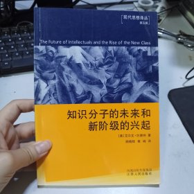 知识分子的未来和新阶级的兴起