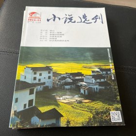 小说选刊 2015年11,12月