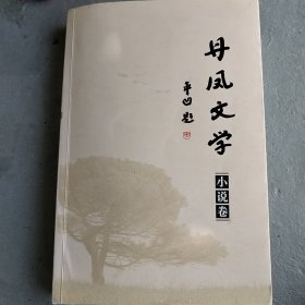 丹凤文学·小说卷