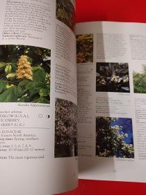 ENCYCLOPEDIA OF FLOWERS 植物百科鲜花，超过1000种