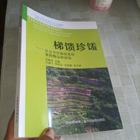 梯馈珍馐--涉县旱作梯田系统食药物品种图鉴/全球\\中国重要农业文化遗产河北涉县旱作梯田系统丛书