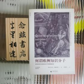 何谓欧洲知识分子：欧洲历史中的知识分子和精神政治