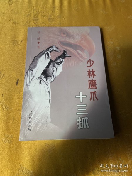 少林鹰爪十三抓