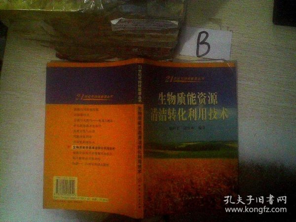 生物质能资源清洁转化利用技术/21世纪可持续能源丛书