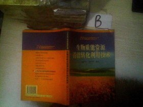 生物质能资源清洁转化利用技术/21世纪可持续能源丛书