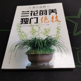 养兰金典：兰花莳养独门绝技