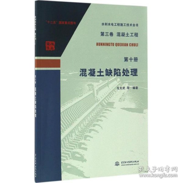 水利水电工程施工技术全书（第三卷）·（混凝土工程 第十册）：混凝土缺陷处理