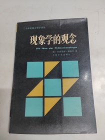 现象学的观念