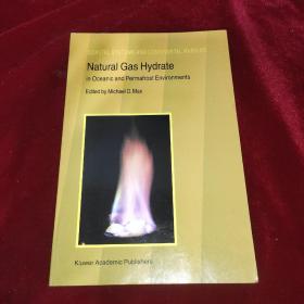 Natural Gas Hydrate（天然气水合物）
