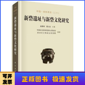 新砦遗址与新砦文化研究