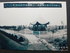 民国24年，上海第一公园，5寸
，5寸，非老照片