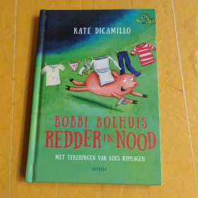 BOBBI BOLHUIS REDDER IN NOOD