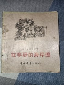 在宁静的海岸边，现代文学理论译丛(第一辑)二本合售