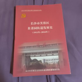 长沙市芙蓉区韭菜园街道发展史