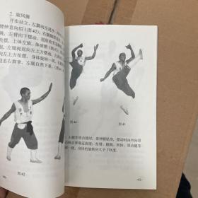 中国嵩山少林寺武功传世秘笈：少林寺朝阳拳