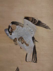 冈本秋晖（1807～1862）威震八方图 鹰图 手绘 茶挂 古笔 南画 日本画 文人茶室 挂轴 国画 文人画 清代