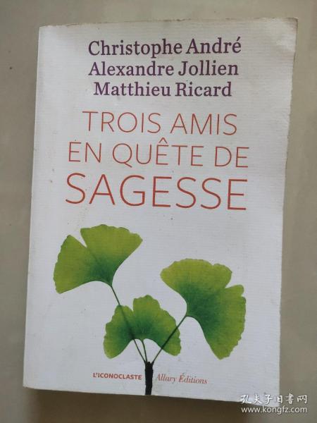 CHRISTOPHE ANDRE: TROIS AMIS EN QUETE DE SAGESSE 法文原版 <寻找智慧的三个朋友>18开