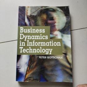 business dynamics in information technology（大16开英文原版）