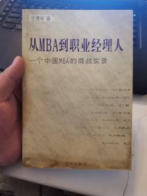 从MBA到职业经理人:一个中国MBA的商战实录