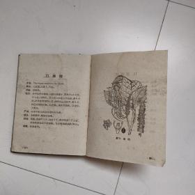 农药植物手册