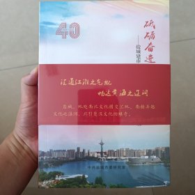 砥砺奋进全新盐城建市40年纪念