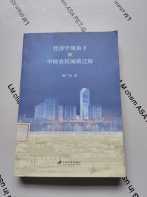 经济学视角下的中国农村城镇迁移