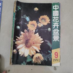 中国花卉盆景，1991年9月